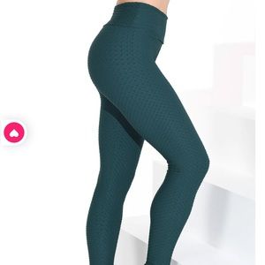 Booty by Brabant Croco Leggings- Curvy